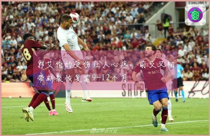 郭艾伦的受伤让人心疼,前交叉韧带断裂恢复需9-12个月